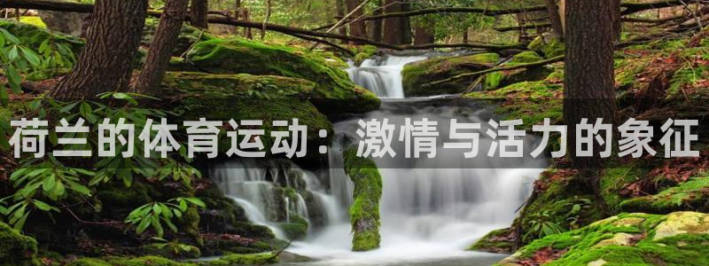 球迷体育app：荷兰的体育运动：激情与活力的象征