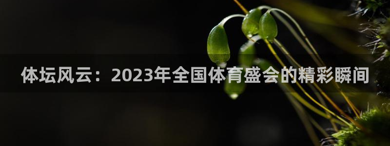 球迷体育app官方版下载安卓：体坛风云：2023年全国体育盛会的精彩瞬间