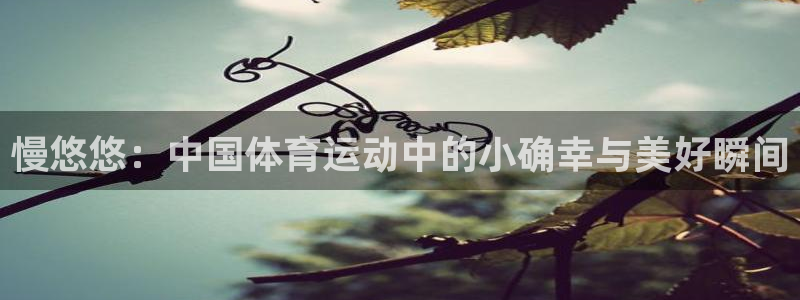 球迷体育直播在线观看：慢悠悠：中国体育运动中的小确幸与美好瞬间