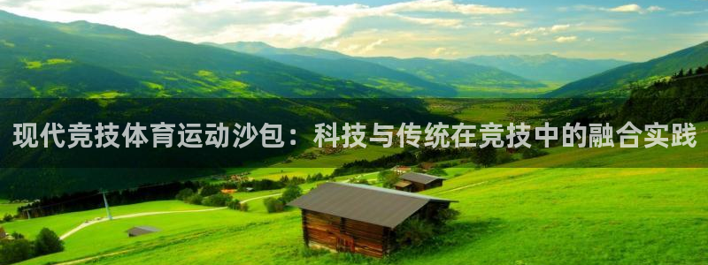球迷体育app最新版：现代竞技体育运动沙包：科技与传统在竞技中的融合实践