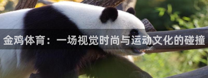 球迷体育：金鸡体育：一场视觉时尚与运动文化的碰撞