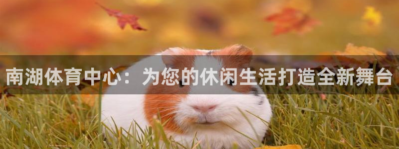球迷体育官方正版下载：南湖体育中心：为您的休闲生活打造全新舞台