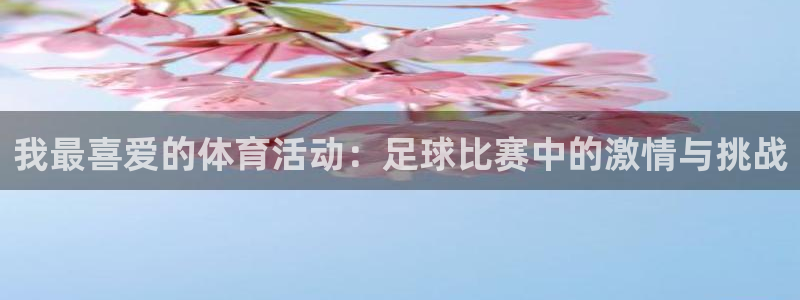 球迷体育能看NBA吗：我最喜爱的体育活动：足球比赛中的激情与挑战