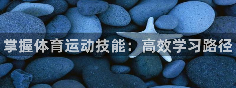 球迷体育是免费直播吗：掌握体育运动技能：高效学习路径