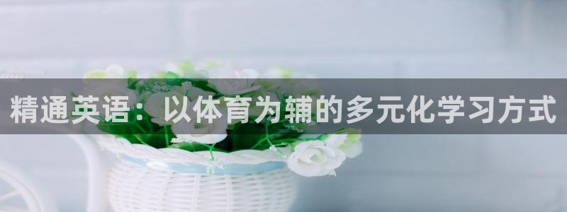 球迷体育怎么买票：精通英语：以体育为辅的多元化学习方式