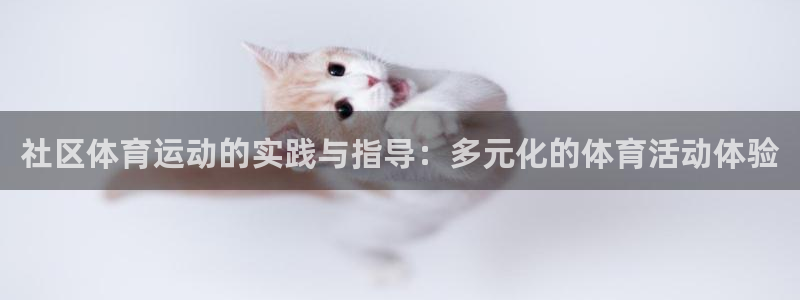 球迷体育直播在线观看：社区体育运动的实践与指导：多元化的体育活动体验